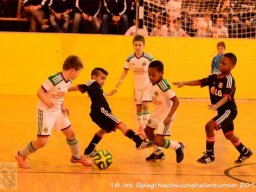 mini-Schlins-U9-Spiegl-DSC_1550